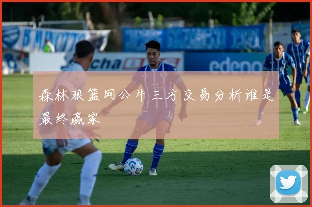 森林狼篮网公牛三方交易分析谁是最终赢家