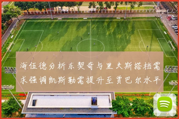 海伍德分析东契奇与里夫斯搭档需求强调凯斯勒需提升至贾巴尔水平